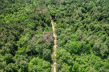 414 Acres Hunting Land For Sale in Franklin County with Camp - image 11