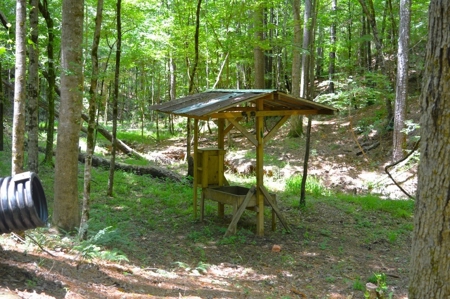 414 Acres Hunting Land For Sale in Franklin County with Camp - image 29