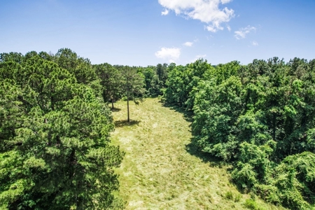 414 Acres Hunting Land For Sale in Franklin County with Camp - image 4