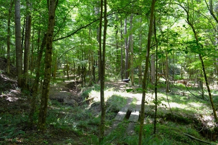 414 Acres Hunting Land For Sale in Franklin County with Camp - image 27