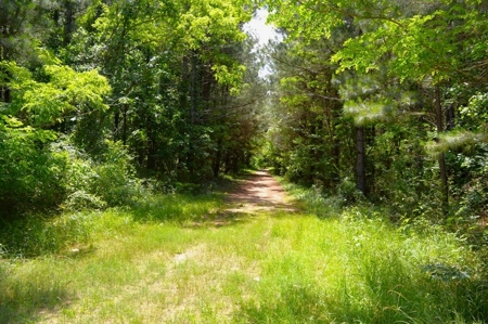 414 Acres Hunting Land For Sale in Franklin County with Camp - image 31