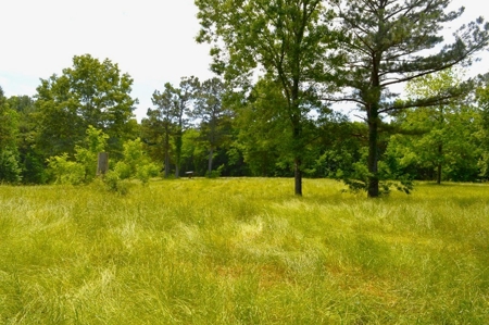414 Acres Hunting Land For Sale in Franklin County with Camp - image 40