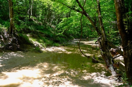 414 Acres Hunting Land For Sale in Franklin County with Camp - image 23