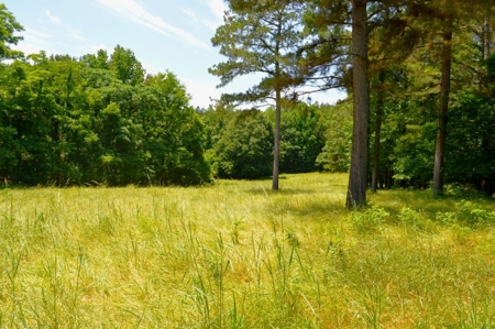 414 Acres Hunting Land For Sale in Franklin County with Camp - image 35