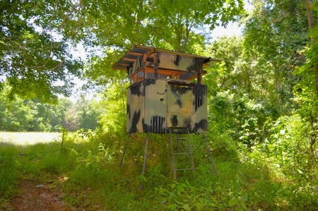 414 Acres Hunting Land For Sale in Franklin County with Camp - image 37