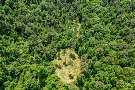 414 Acres Hunting Land For Sale in Franklin County with Camp - image 10