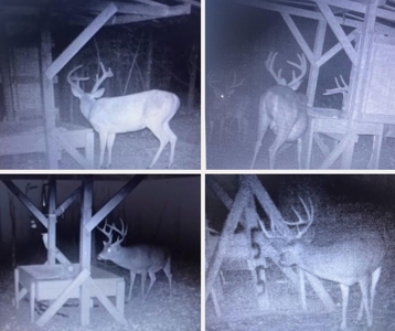 414 Acres Hunting Land For Sale in Franklin County with Camp - image 46