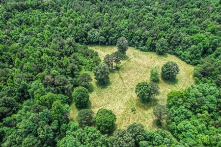 414 Acres Hunting Land For Sale in Franklin County with Camp - image 6