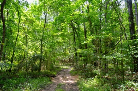 414 Acres Hunting Land For Sale in Franklin County with Camp - image 36