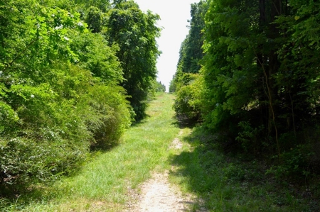 414 Acres Hunting Land For Sale in Franklin County with Camp - image 30