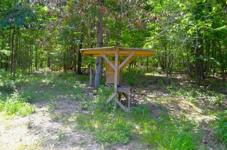 414 Acres Hunting Land For Sale in Franklin County with Camp - image 38