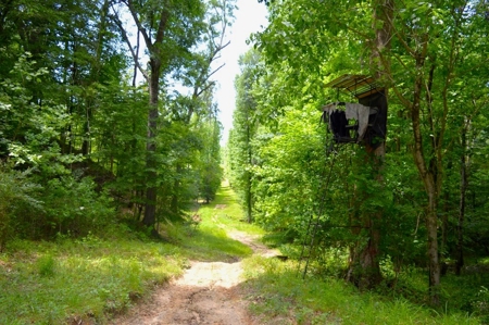 414 Acres Hunting Land For Sale in Franklin County with Camp - image 48