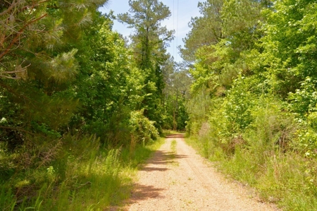 414 Acres Hunting Land For Sale in Franklin County with Camp - image 21