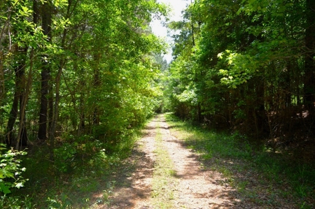 414 Acres Hunting Land For Sale in Franklin County with Camp - image 32