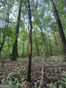 28.74 acres located just minutes from Elberton and Lake Russ - image 17