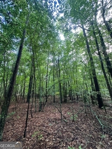 28.74 acres located just minutes from Elberton and Lake Russ - image 11