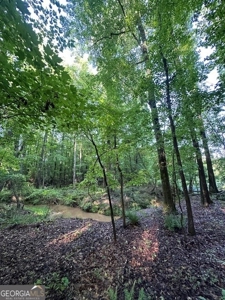 28.74 acres located just minutes from Elberton and Lake Russ - image 3