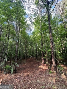 28.74 acres located just minutes from Elberton and Lake Russ - image 12