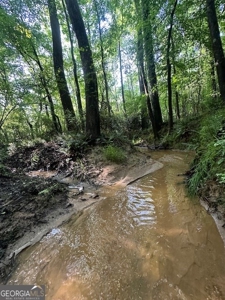 28.74 acres located just minutes from Elberton and Lake Russ - image 18