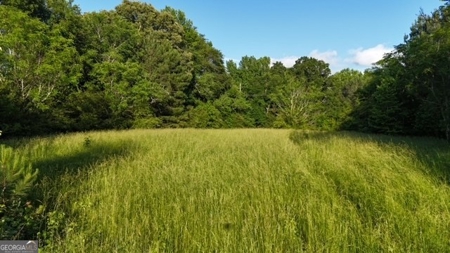 28.74 acres located just minutes from Elberton and Lake Russ - image 1