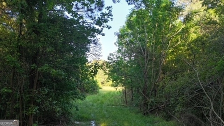 28.74 acres located just minutes from Elberton and Lake Russ - image 47