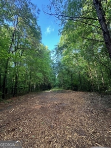 28.74 acres located just minutes from Elberton and Lake Russ - image 21