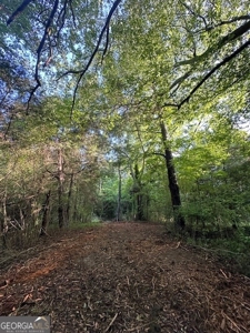 28.74 acres located just minutes from Elberton and Lake Russ - image 39