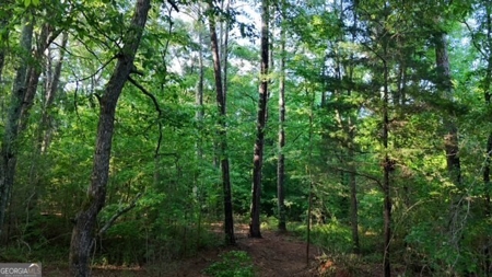 28.74 acres located just minutes from Elberton and Lake Russ - image 45