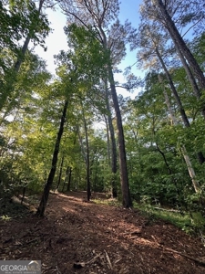 28.74 acres located just minutes from Elberton and Lake Russ - image 23