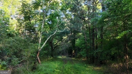 28.74 acres located just minutes from Elberton and Lake Russ - image 48