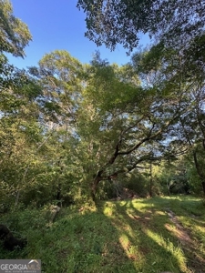 28.74 acres located just minutes from Elberton and Lake Russ - image 30