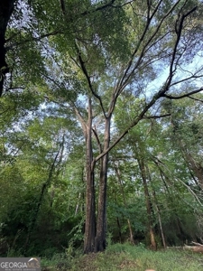 28.74 acres located just minutes from Elberton and Lake Russ - image 32