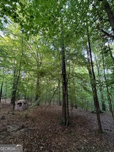 28.74 acres located just minutes from Elberton and Lake Russ - image 37