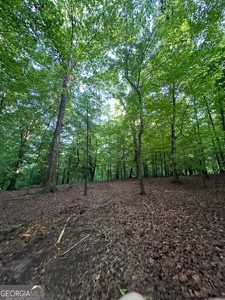 28.74 acres located just minutes from Elberton and Lake Russ - image 36