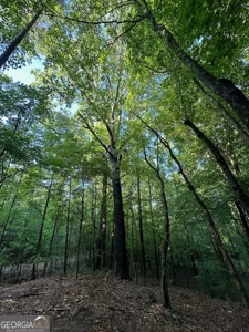28.74 acres located just minutes from Elberton and Lake Russ - image 35