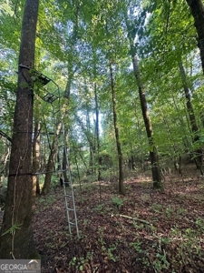 28.74 acres located just minutes from Elberton and Lake Russ - image 15