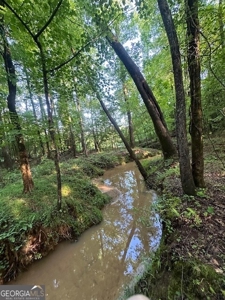 28.74 acres located just minutes from Elberton and Lake Russ - image 2