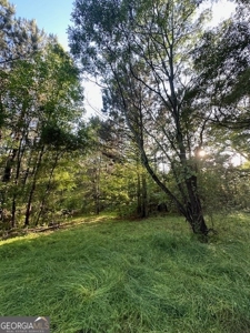 28.74 acres located just minutes from Elberton and Lake Russ - image 29