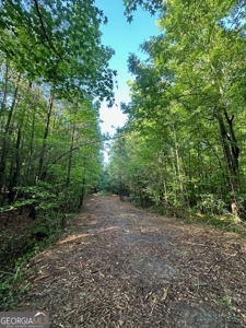 28.74 acres located just minutes from Elberton and Lake Russ - image 22