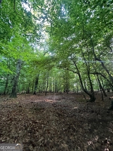 28.74 acres located just minutes from Elberton and Lake Russ - image 4
