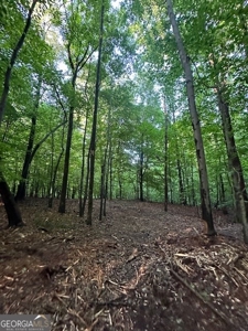 28.74 acres located just minutes from Elberton and Lake Russ - image 25