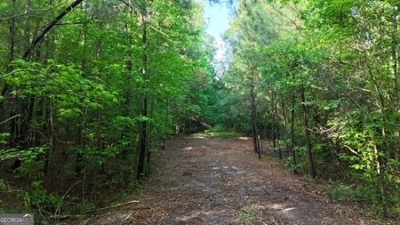 28.74 acres located just minutes from Elberton and Lake Russ - image 43