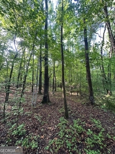 28.74 acres located just minutes from Elberton and Lake Russ - image 16