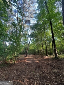 28.74 acres located just minutes from Elberton and Lake Russ - image 5