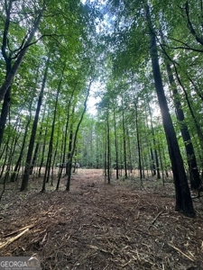28.74 acres located just minutes from Elberton and Lake Russ - image 14