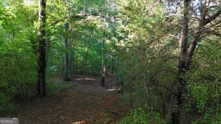 28.74 acres located just minutes from Elberton and Lake Russ - image 46