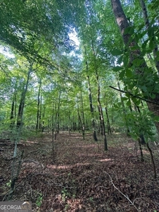 28.74 acres located just minutes from Elberton and Lake Russ - image 13