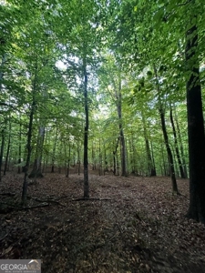 28.74 acres located just minutes from Elberton and Lake Russ - image 27