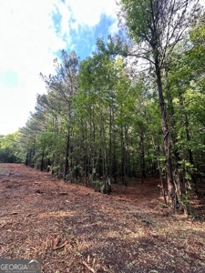 28.74 acres located just minutes from Elberton and Lake Russ - image 20