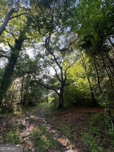 28.74 acres located just minutes from Elberton and Lake Russ - image 40